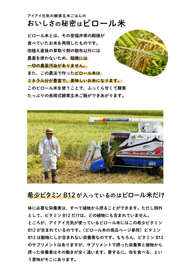 おいしさの秘訣はピロール米