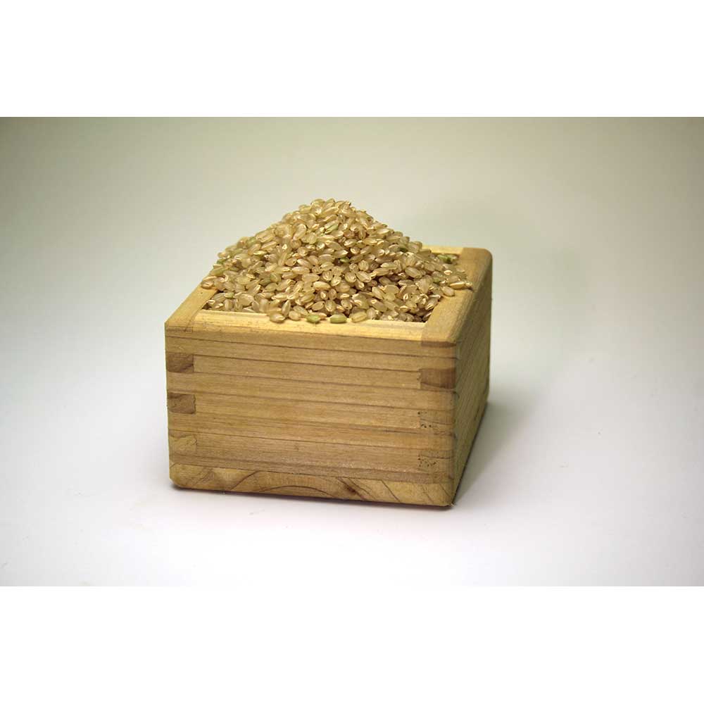 「元気米」玄米　令和6年度産　5kg（ピロール農法で作ったピロール米）